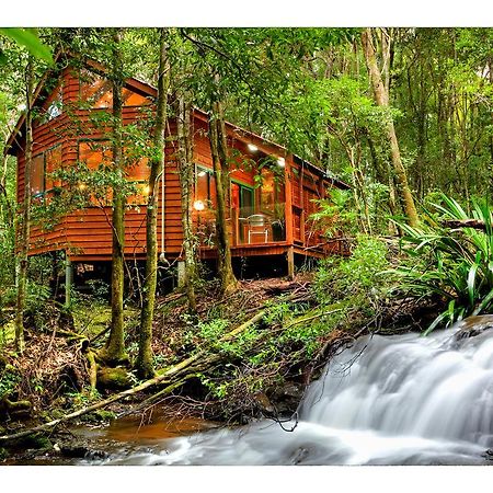 The Mouses House Rainforest Retreat Villa Springbrook Luaran gambar