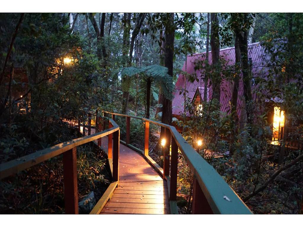 The Mouses House Rainforest Retreat Villa Springbrook Luaran gambar