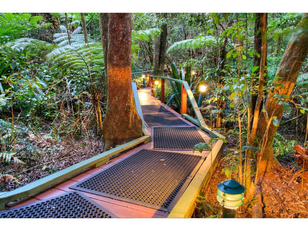 The Mouses House Rainforest Retreat Springbrook Luaran gambar