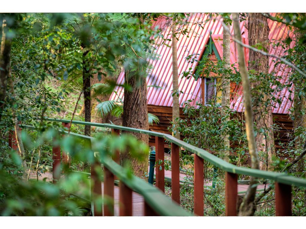 The Mouses House Rainforest Retreat Villa Springbrook Luaran gambar