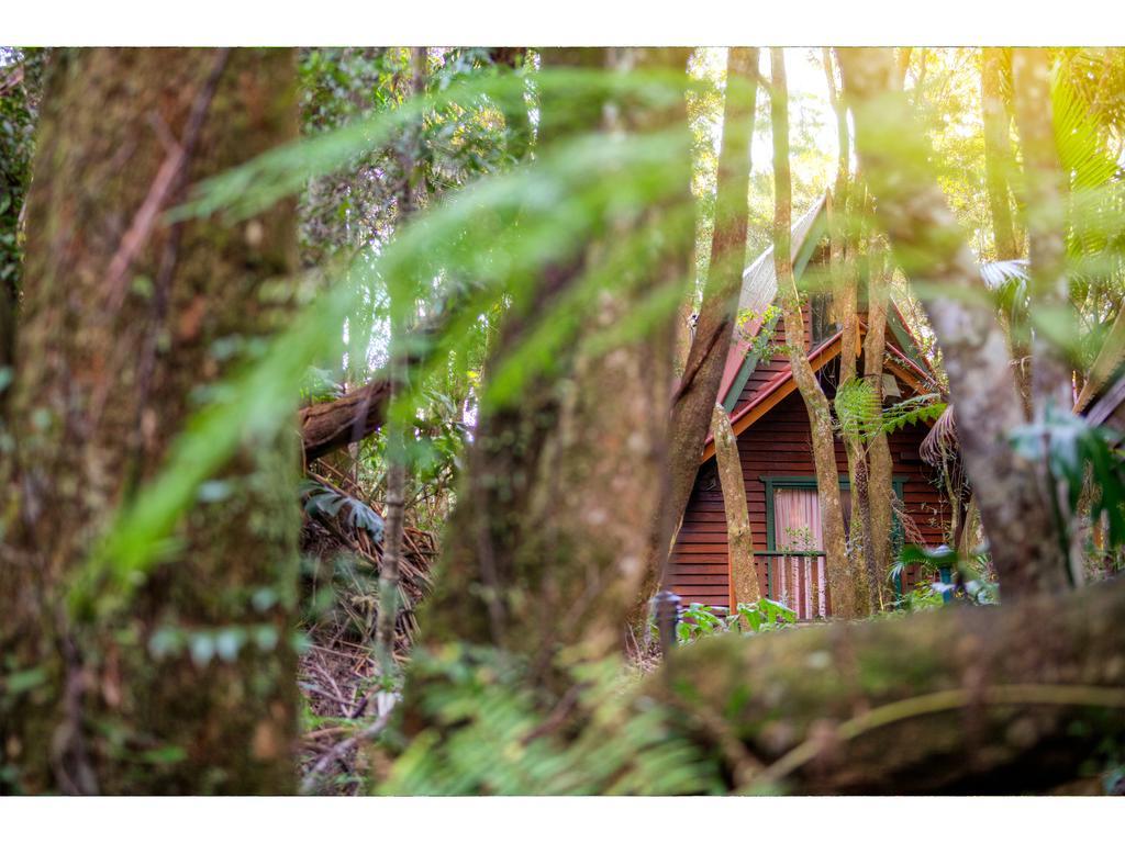 The Mouses House Rainforest Retreat Villa Springbrook Luaran gambar