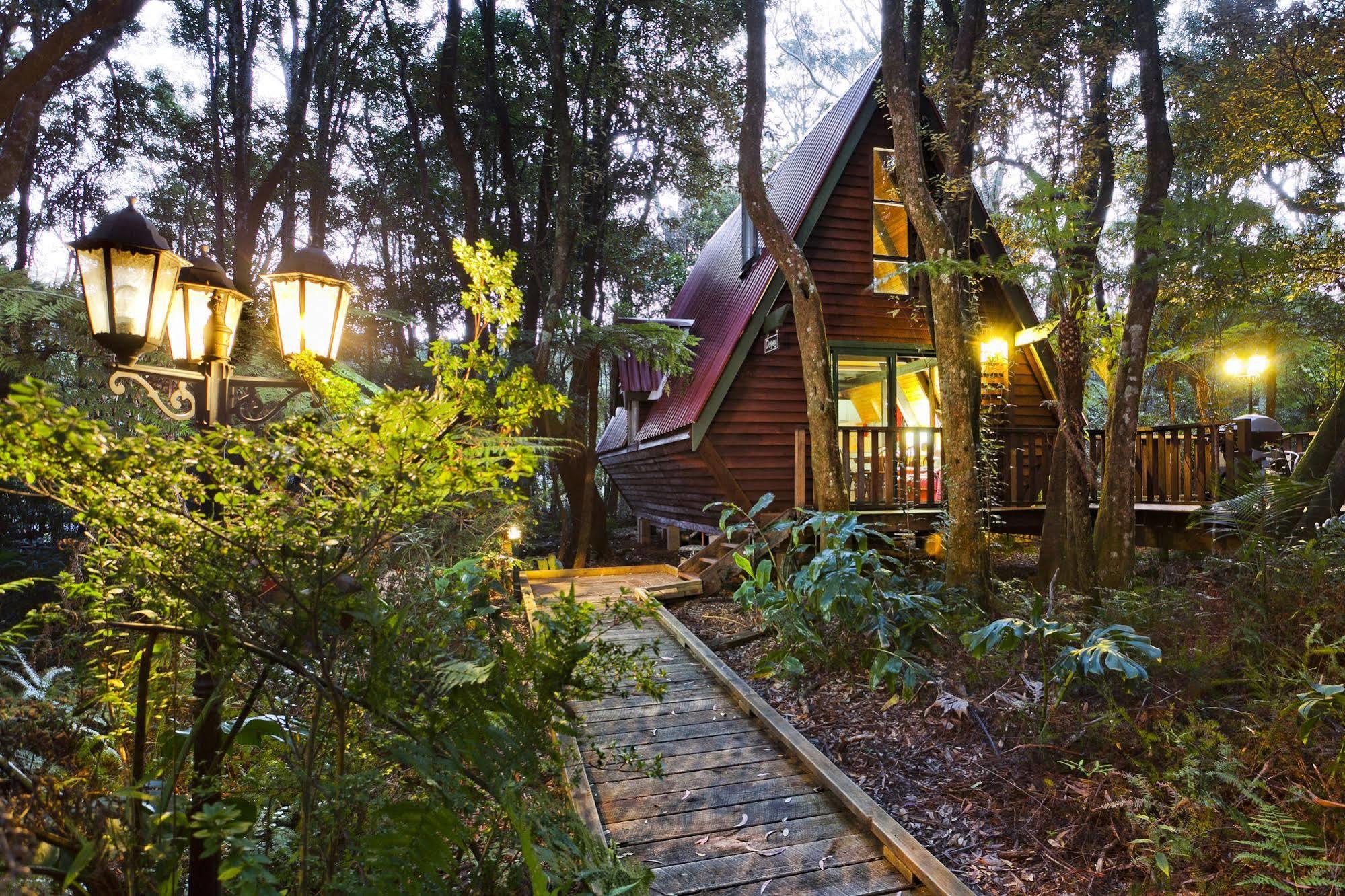 The Mouses House Rainforest Retreat Villa Springbrook Luaran gambar