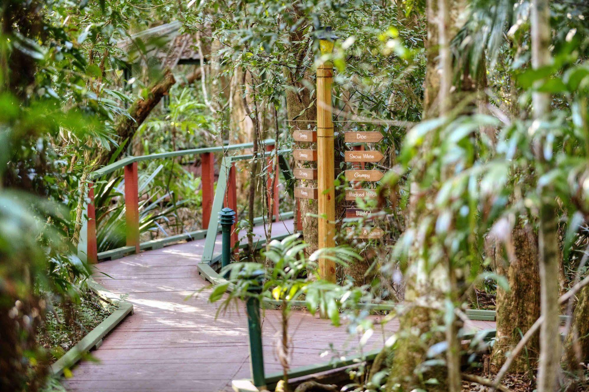 The Mouses House Rainforest Retreat Villa Springbrook Luaran gambar