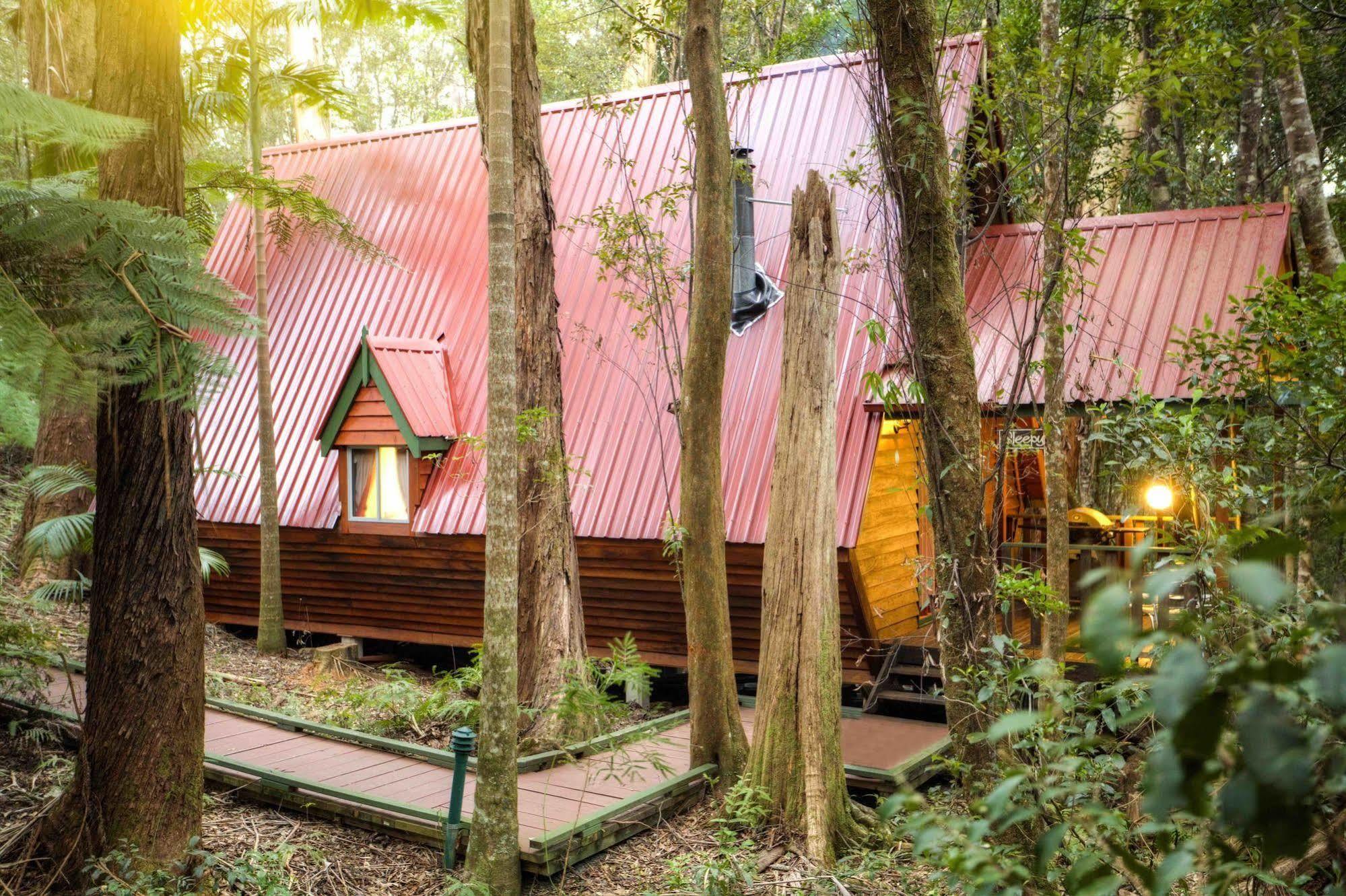 The Mouses House Rainforest Retreat Villa Springbrook Luaran gambar