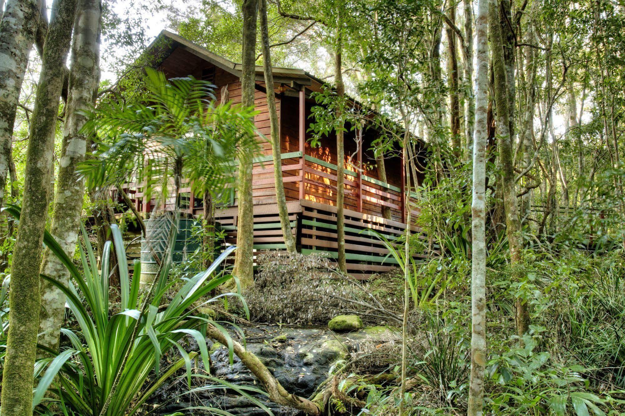 The Mouses House Rainforest Retreat Villa Springbrook Luaran gambar