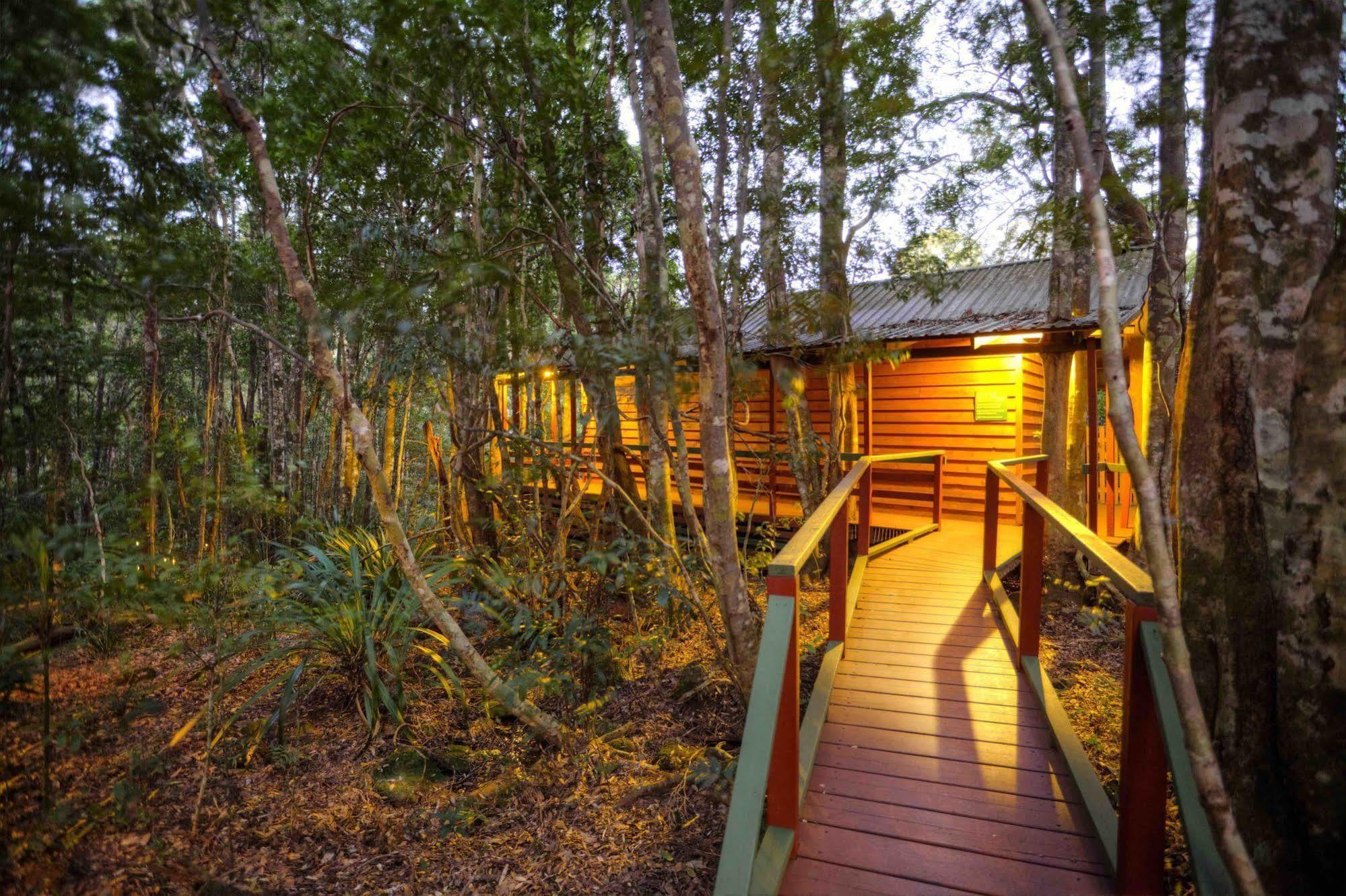 The Mouses House Rainforest Retreat Villa Springbrook Luaran gambar